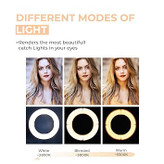 رینگ لایت مدل ZMX-260