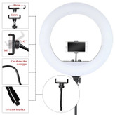 رینگ لایت مدل RL-21