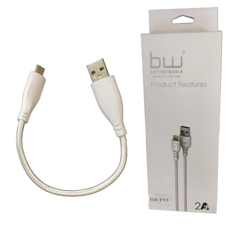 کابل پاور میکرو بانک فست BW مدل BW-P11